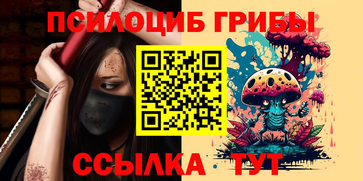 Псилоцибиновые грибы мицелий Архангельск